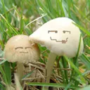 开心天真