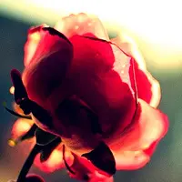 抱不够
